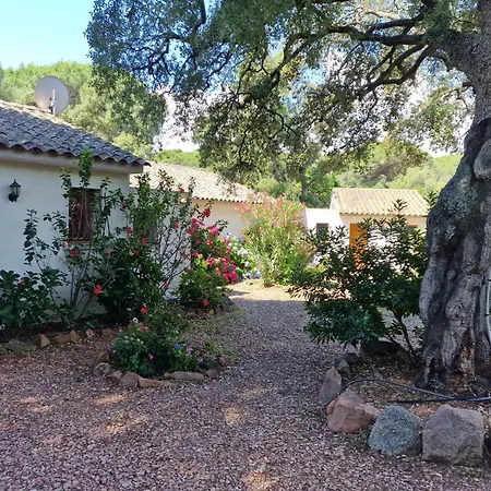 Pour 2 Personnes A 700m De La De Palombaggia Vakantiehuis