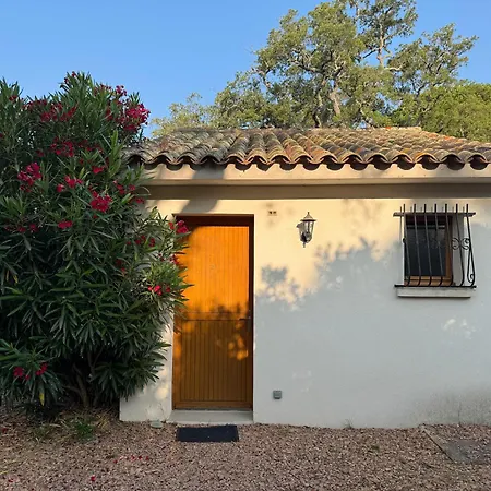 Pour 2 Personnes A 700m De La De Palombaggia * 维琪奥港