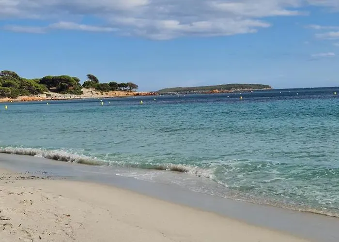 Pour 2 Personnes A 700m De La De Palombaggia Prázdninový dům