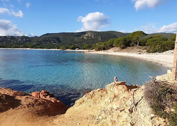 Vakantiehuis Pour 2 Personnes A 700m De La De Palombaggia *