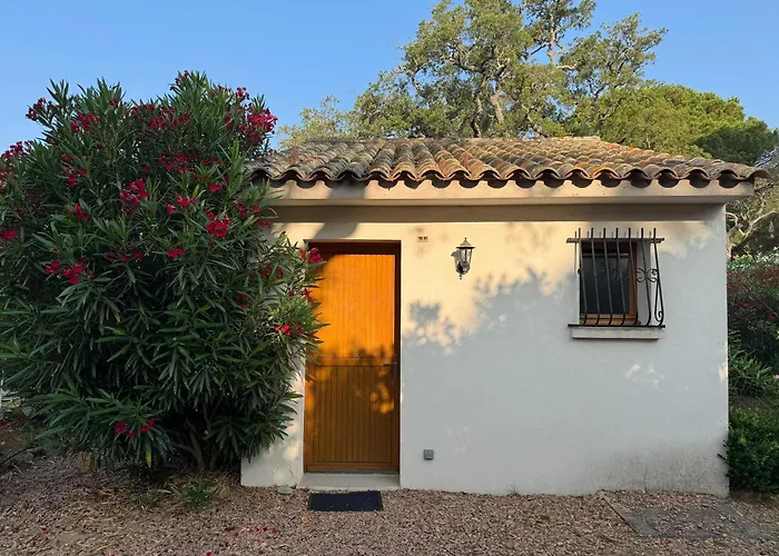 Pour 2 Personnes A 700m De La De Palombaggia * 维琪奥港